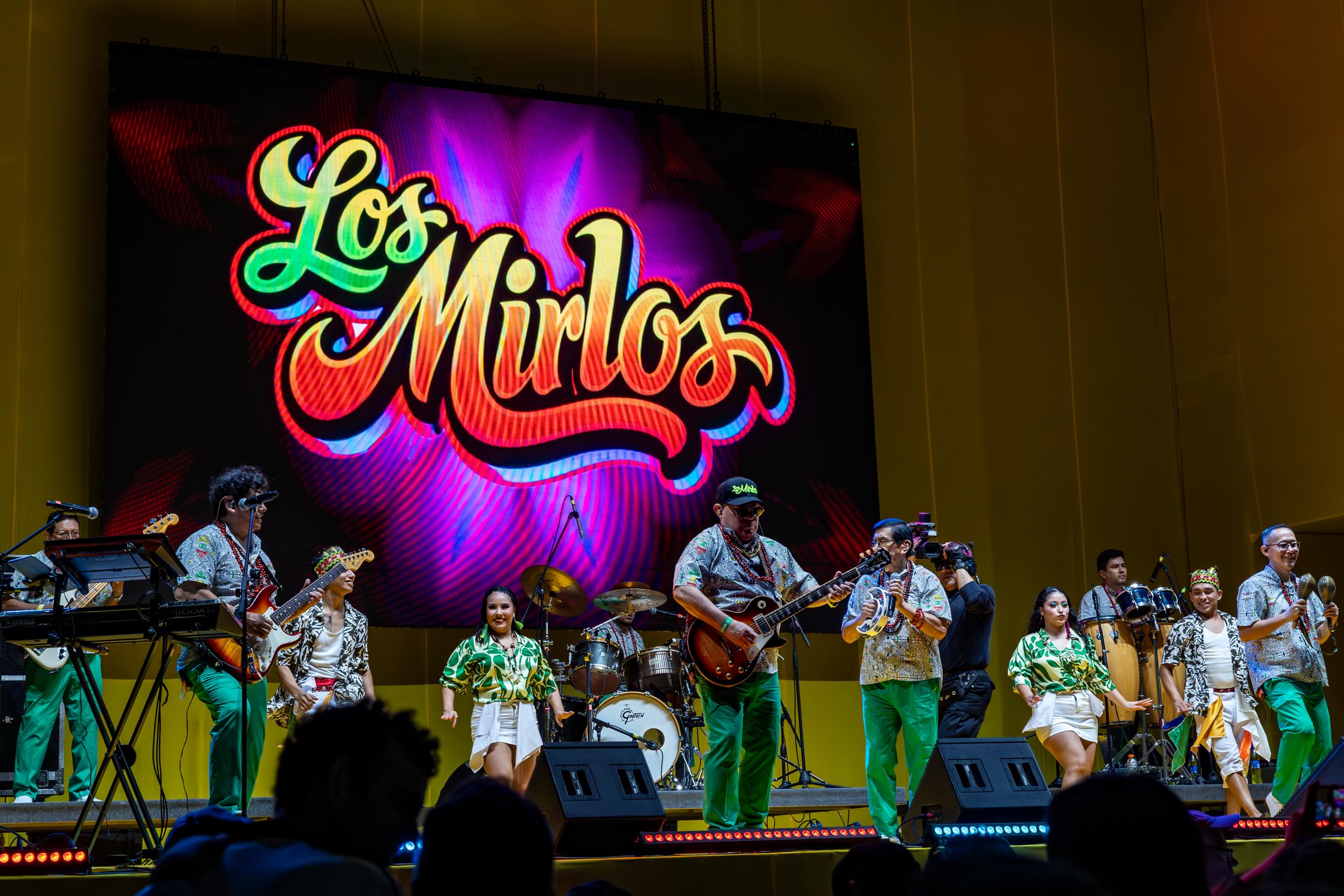 Los Mirlos